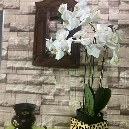 Vukmanovic Апартаменты Кикинда